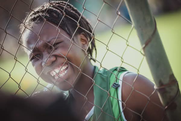 HSDF programme moment 12