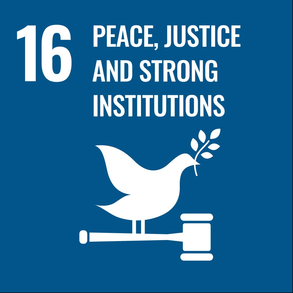 Peace & Strong Institutions